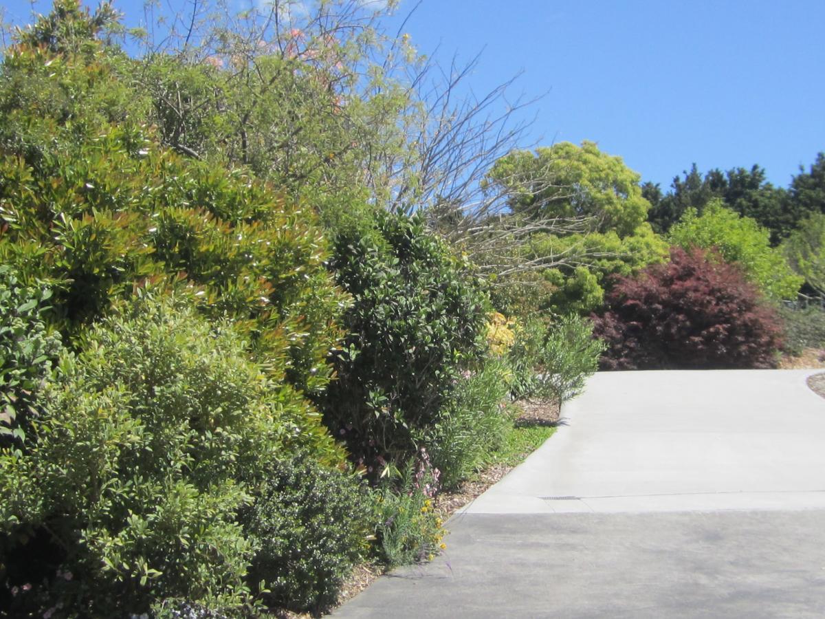 Hyecroft Lodge Whangarei Kültér fotó